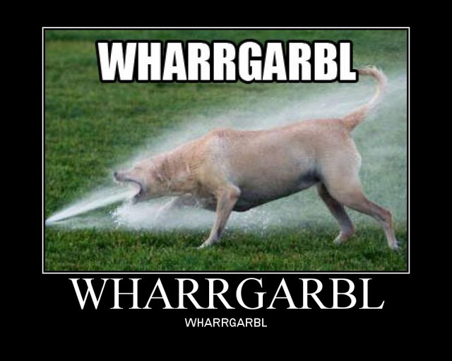 wharrgarbluq01lv7ix8%5b1%5d.jpg